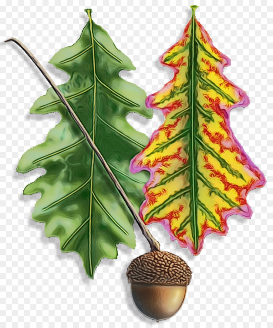 Feuille，Tige De La Plante PNG