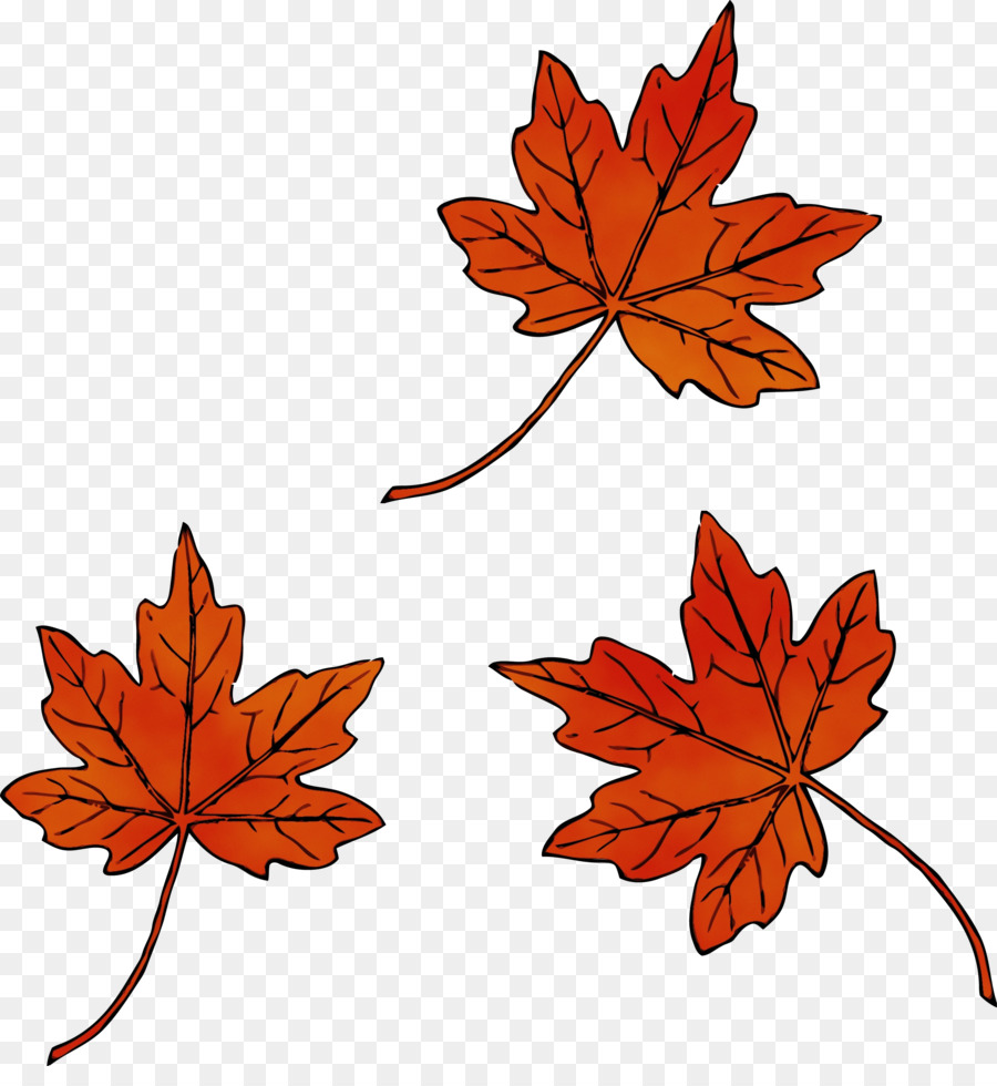 Feuilles D'érable，Automne PNG