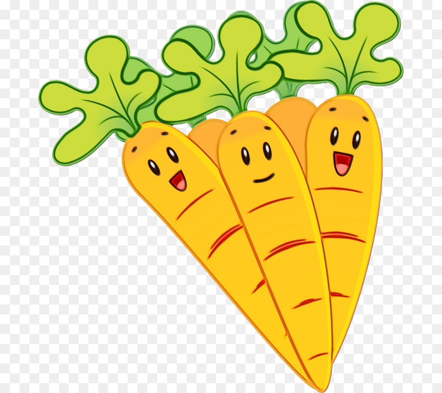 Carottes，Orange PNG