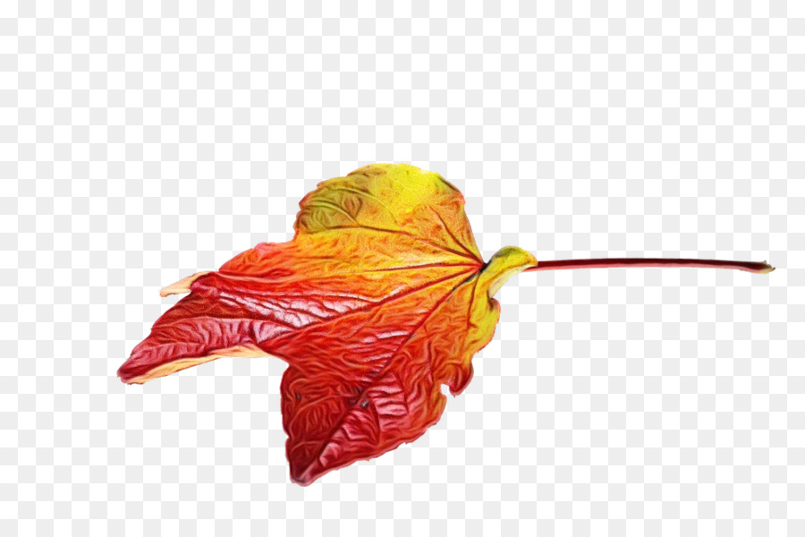 Feuille Rouge，Automne PNG