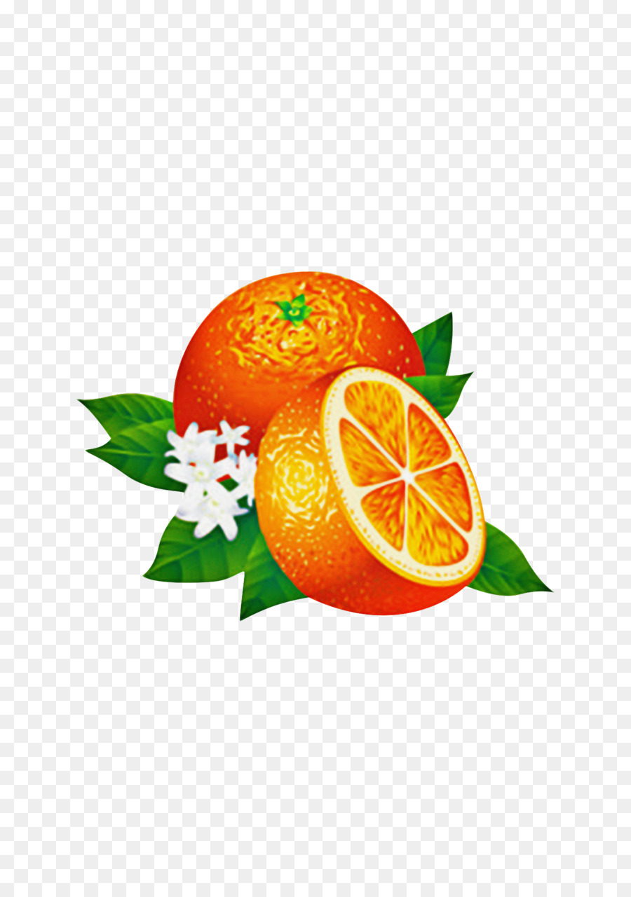 L'orange Sanguine，Clémentine PNG