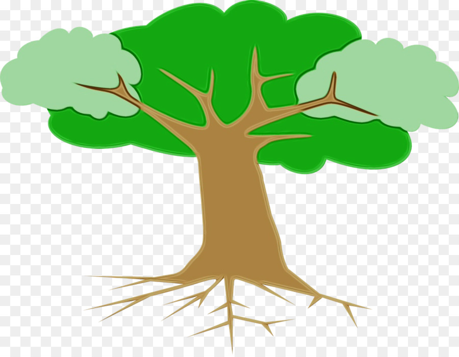 Arbre Flottant，Racines PNG