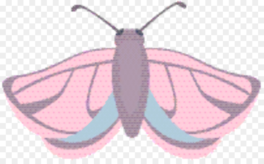 Papillon Violet，Ailes PNG