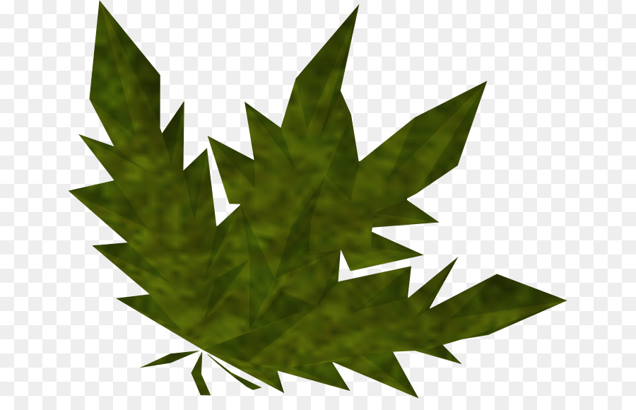 Feuille Verte，Feuillage PNG