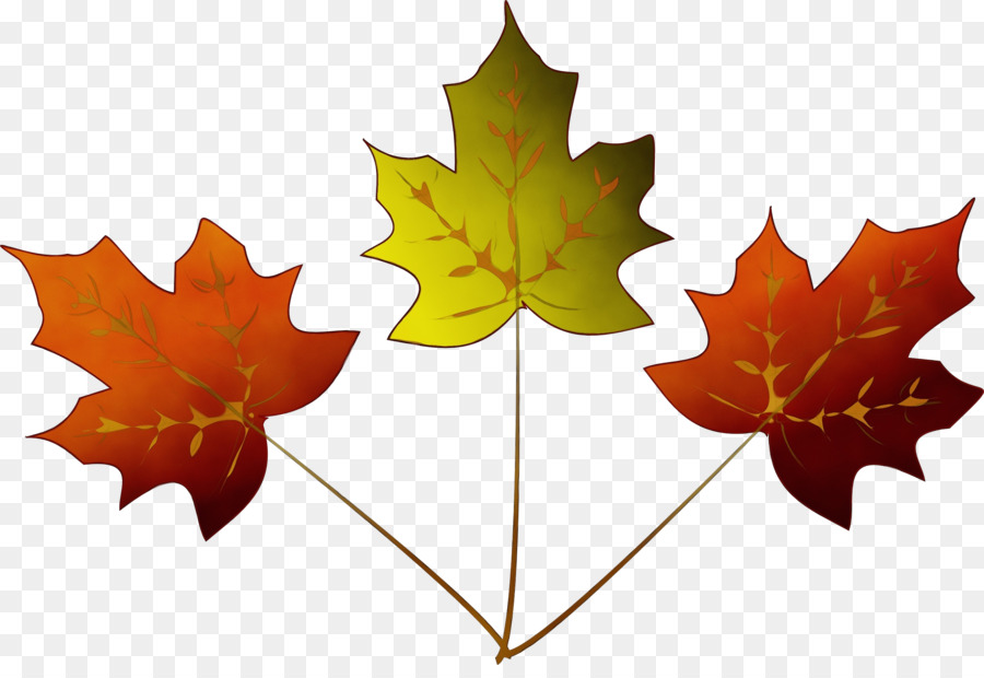 Feuilles D'automne，Feuillage PNG