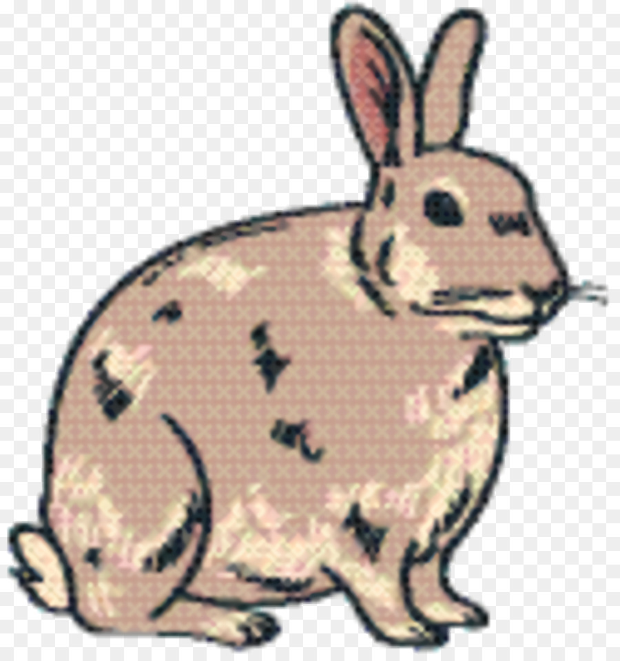 Dessin Animé，Lapin PNG