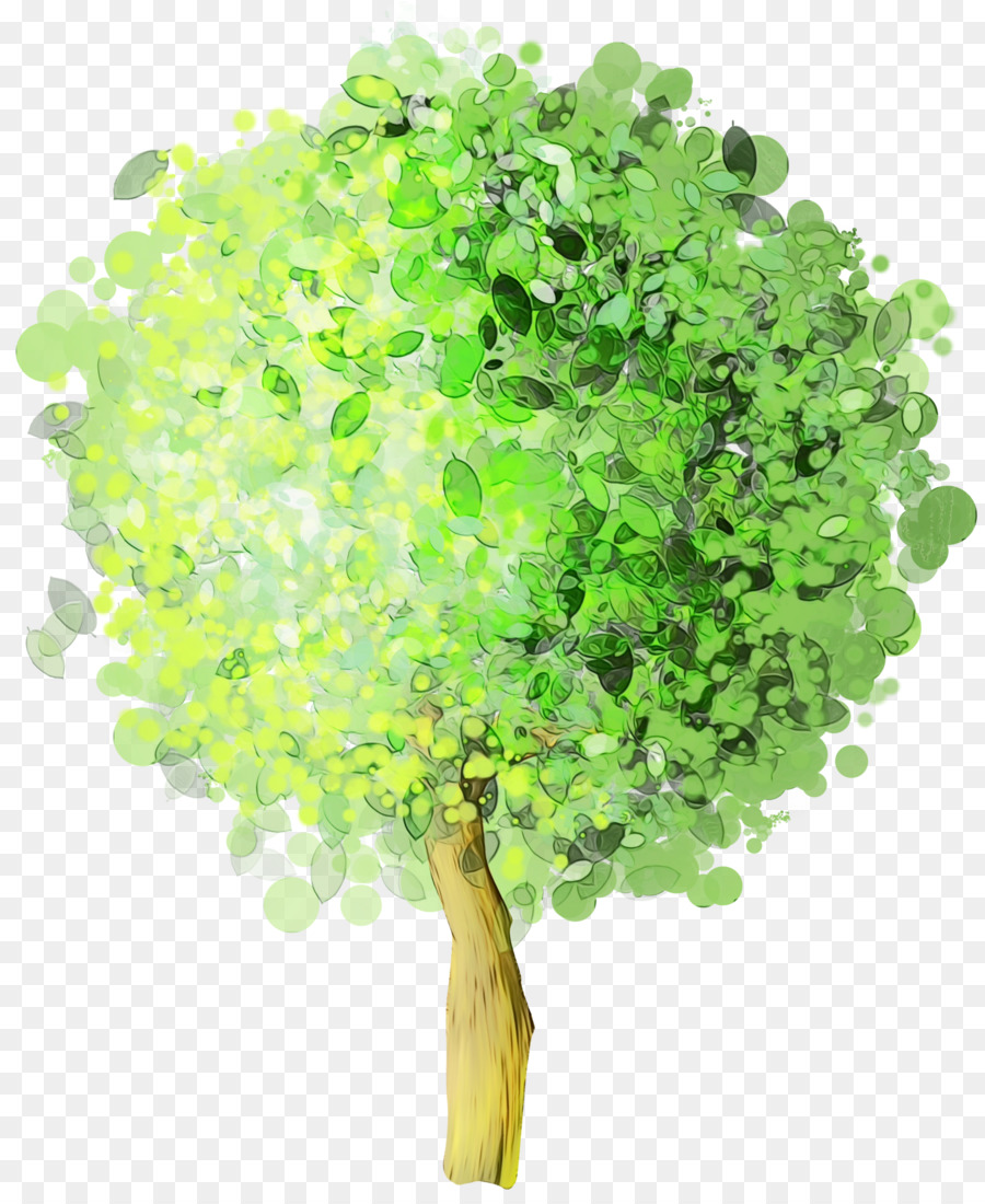 Arbre，Feuilles PNG