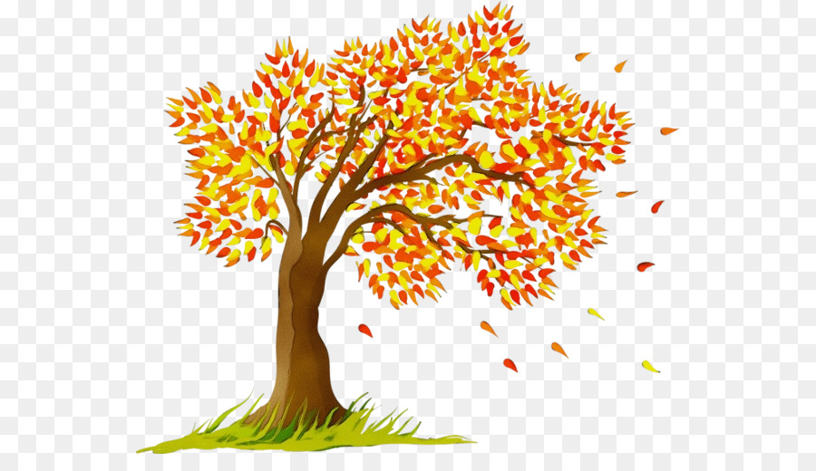 Arbre D'automne，Feuilles D'automne PNG