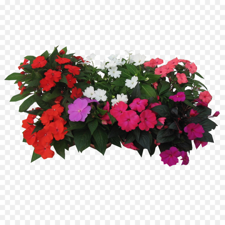 Fleurs Colorées，Fleurs PNG