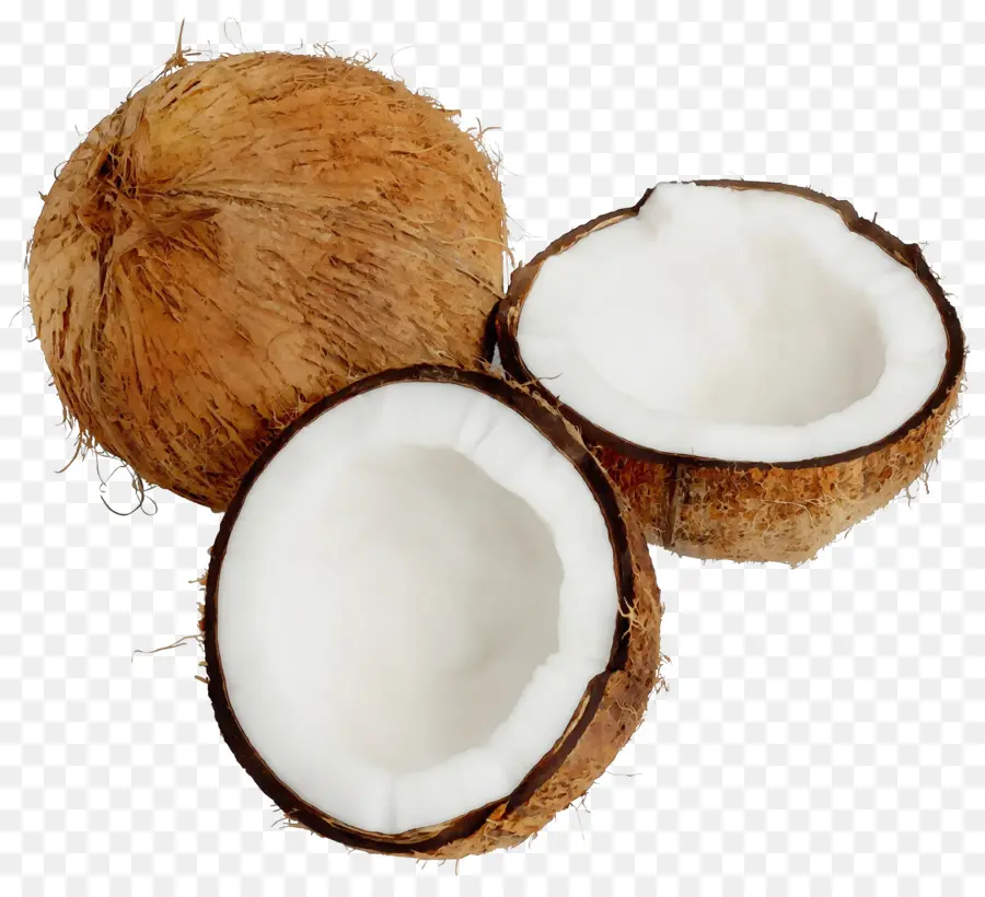 Noix De Coco，Tropical PNG