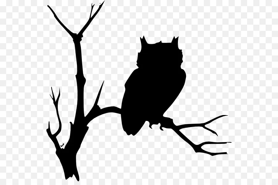 Silhouette De Hibou，Branche D'arbre PNG