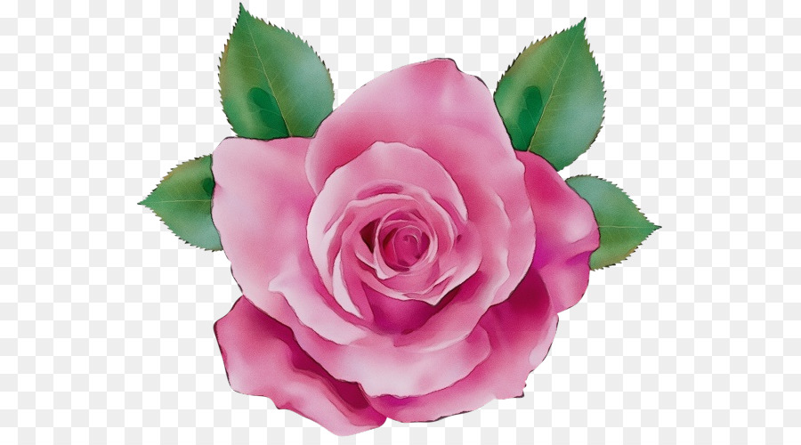 Pêche Rose，Floraison PNG