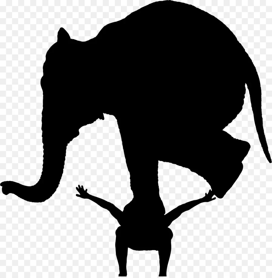 Silhouette D'éléphant，Équilibre PNG