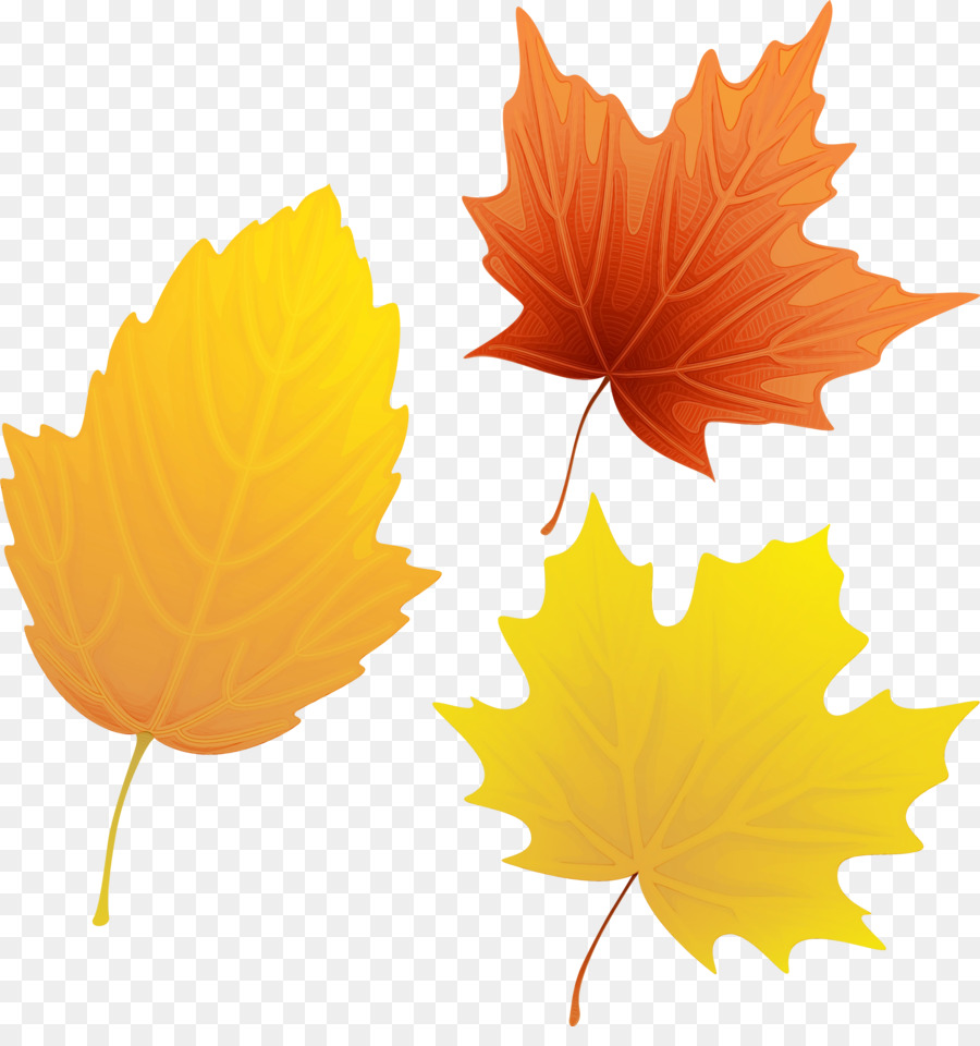 Feuilles D'automne，Automne PNG