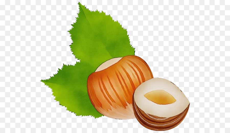 Noisette，Nourriture PNG