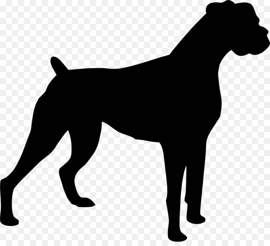 Chien，Animal De Compagnie PNG