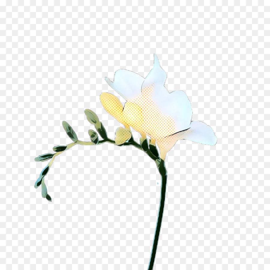 Fleur Jaune，Fleur PNG