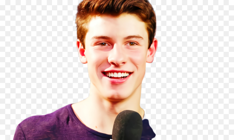 Shawn Mendes，Sourire PNG