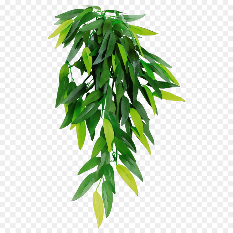 Feuille，Flowerpot PNG