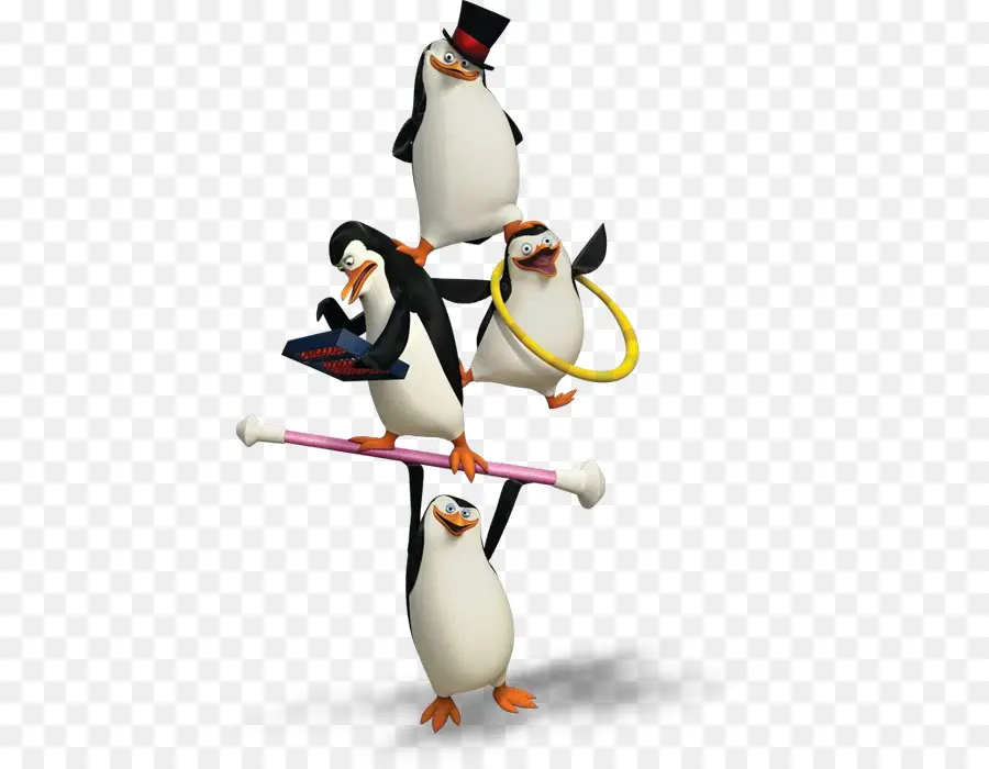 Pingouins，Cirque PNG