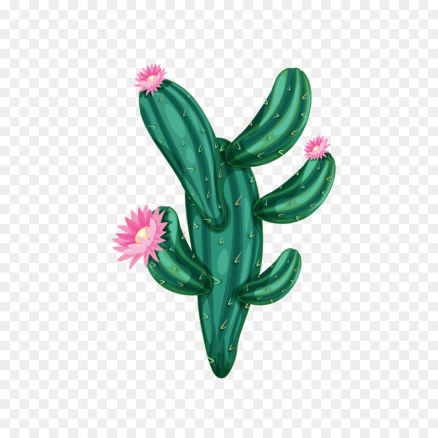 Cactus，Plante Succulente PNG