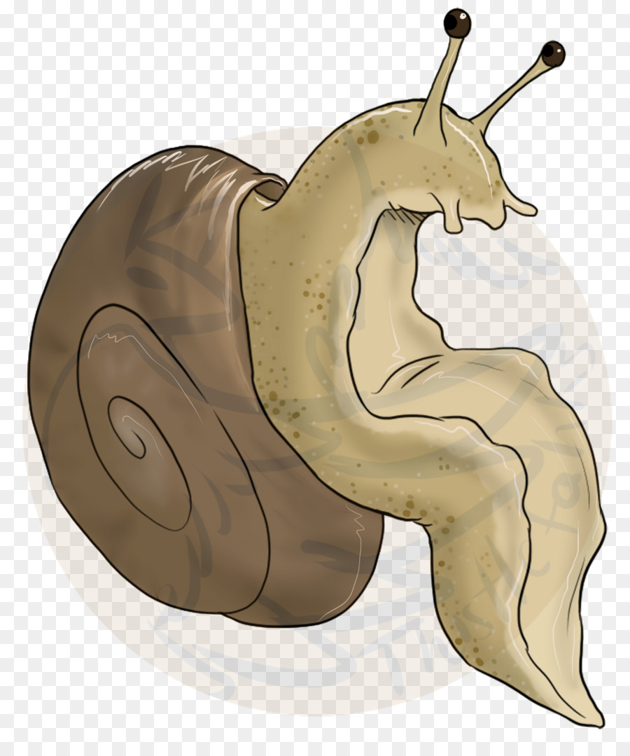 Escargot，Cheval PNG