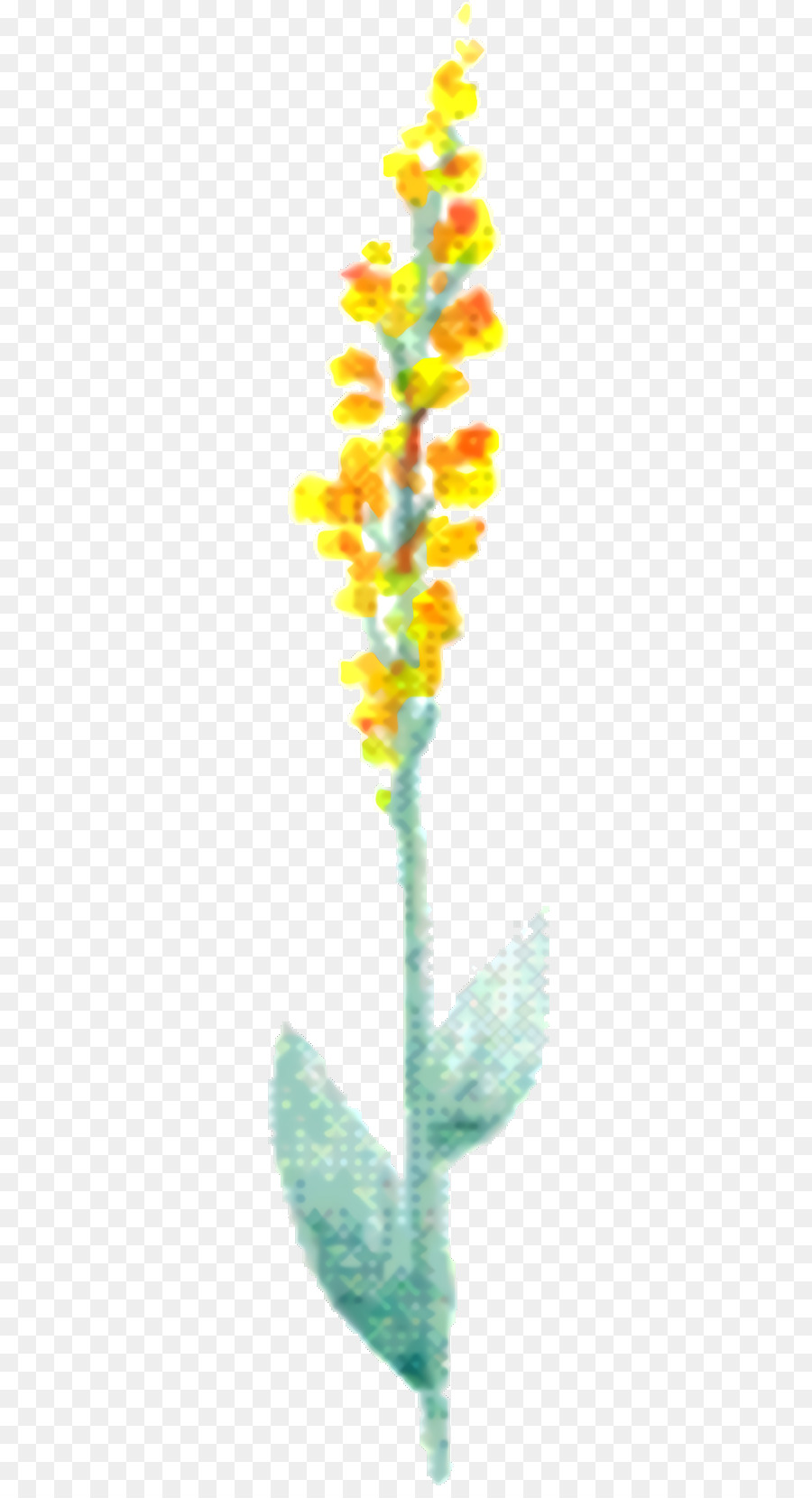 Feuille，Tige De La Plante PNG