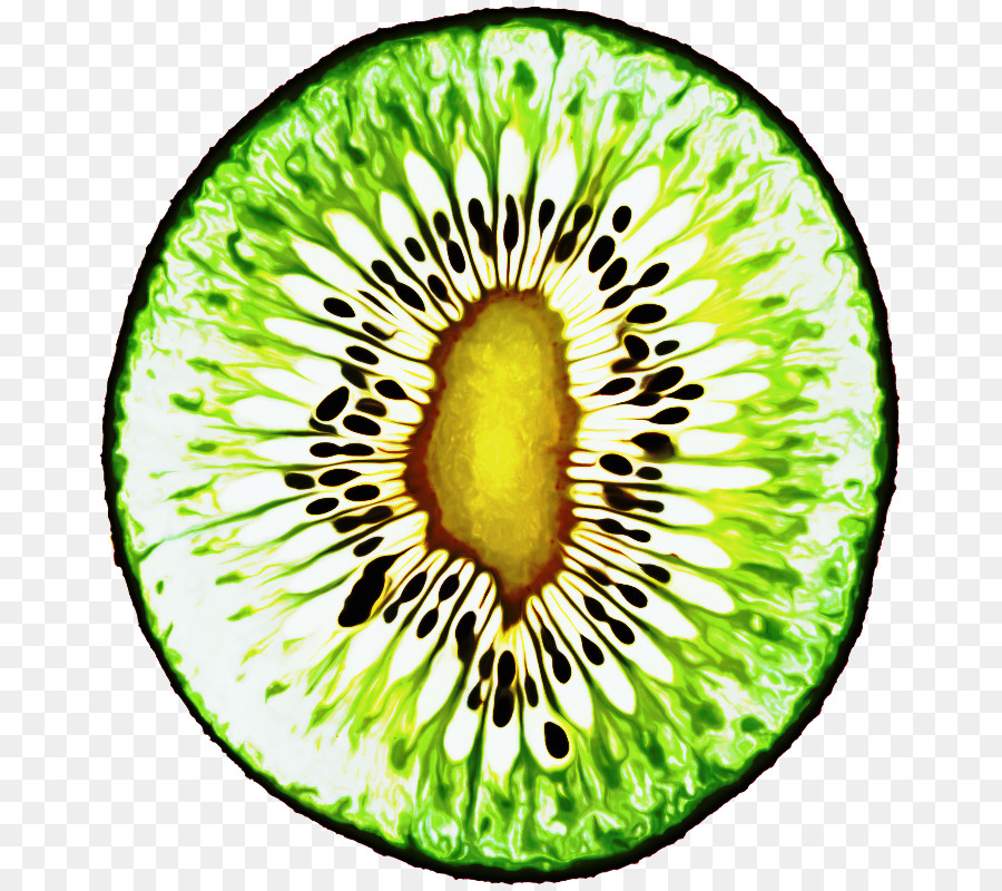 Tranche De Kiwi Vert，Frais PNG