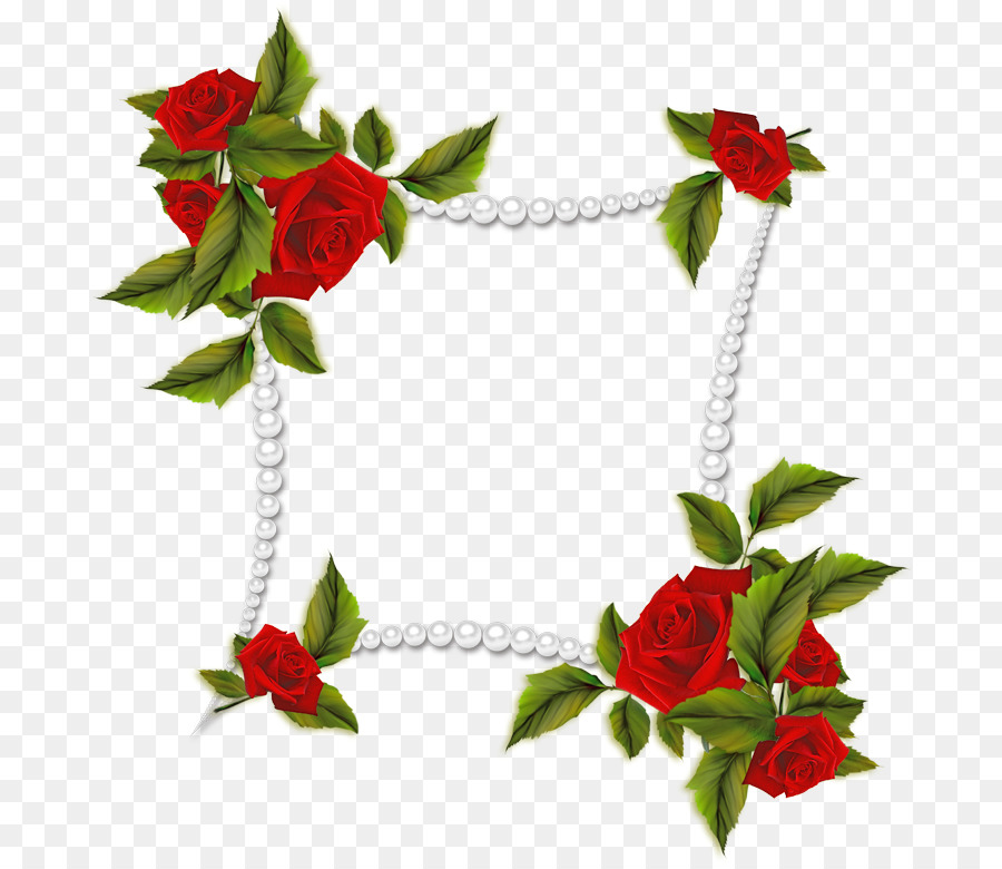 Cadre Rose，Fleurs PNG