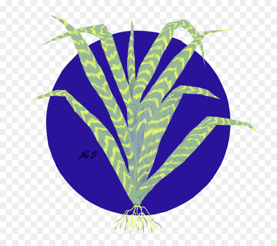 Feuille，Tige De La Plante PNG