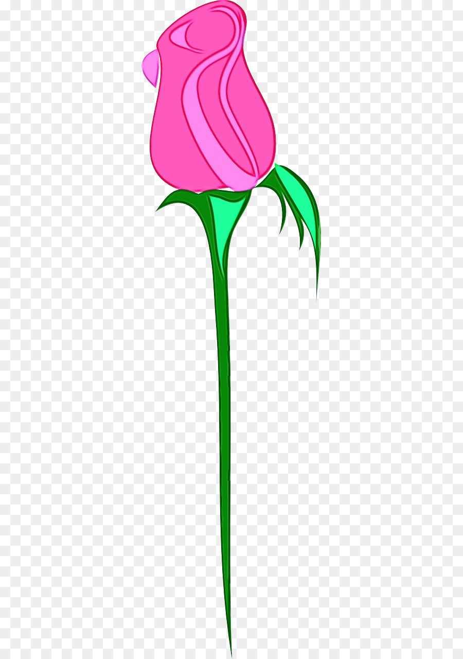 La Famille Rose，Tulip PNG