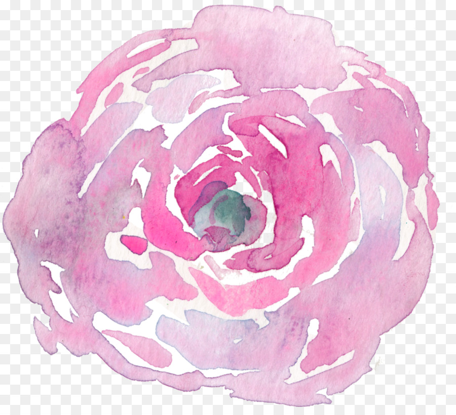 Rose，Rouge PNG