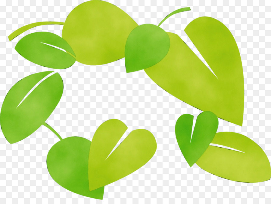 Feuilles Vertes，Feuillage PNG