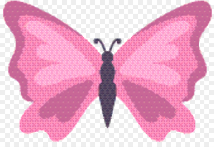 Papillon，Rose M PNG
