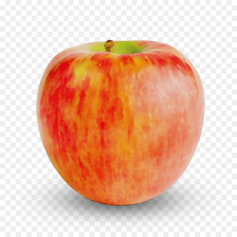 Pomme Rouge，Frais PNG