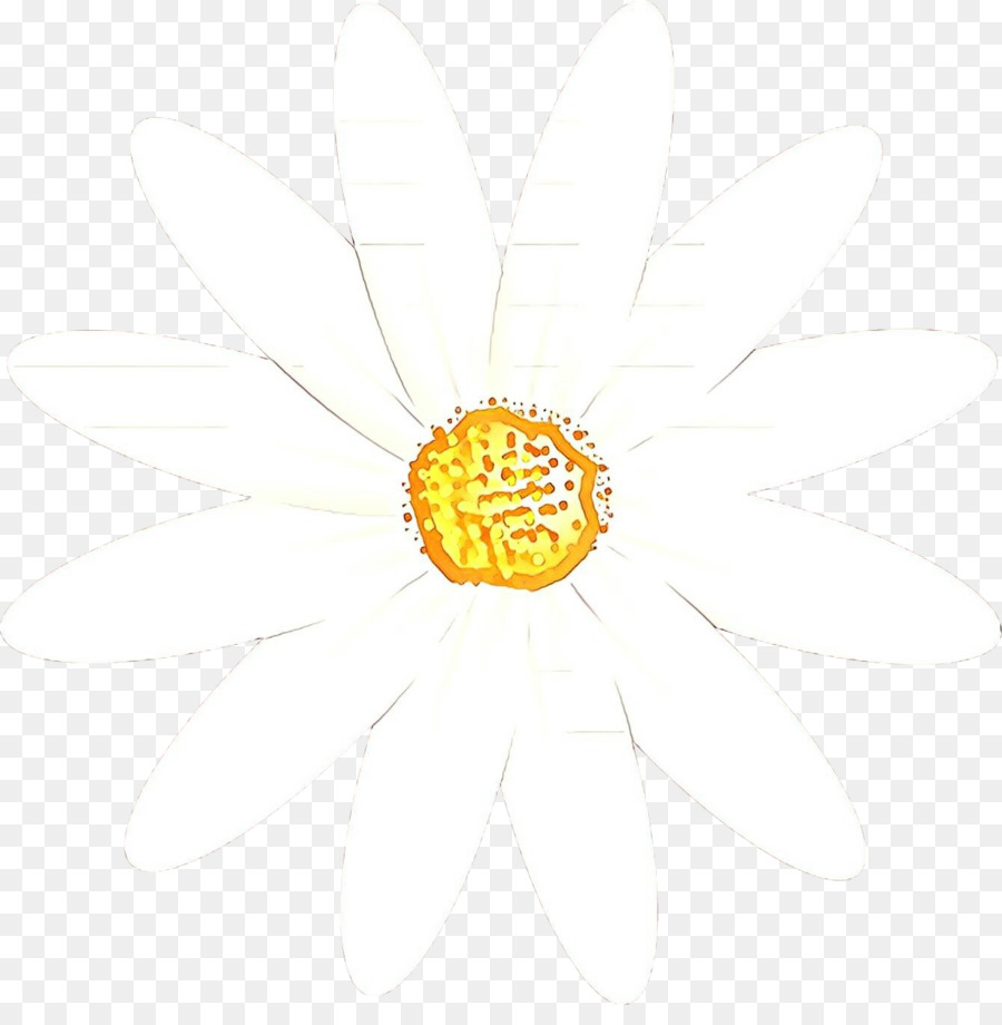 Marguerite，Les Fleurs Coupées PNG