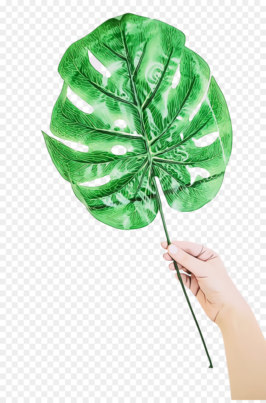 Arbre，Feuille PNG