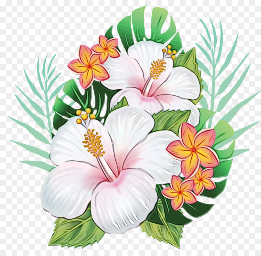 Fleurs D'hibiscus，Tropical PNG