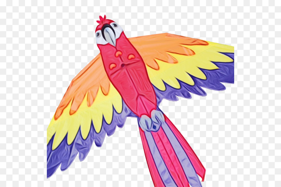 Ailes Colorées，Plumes PNG