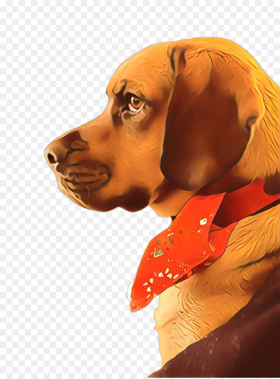 Race De Chien，Vizsla PNG