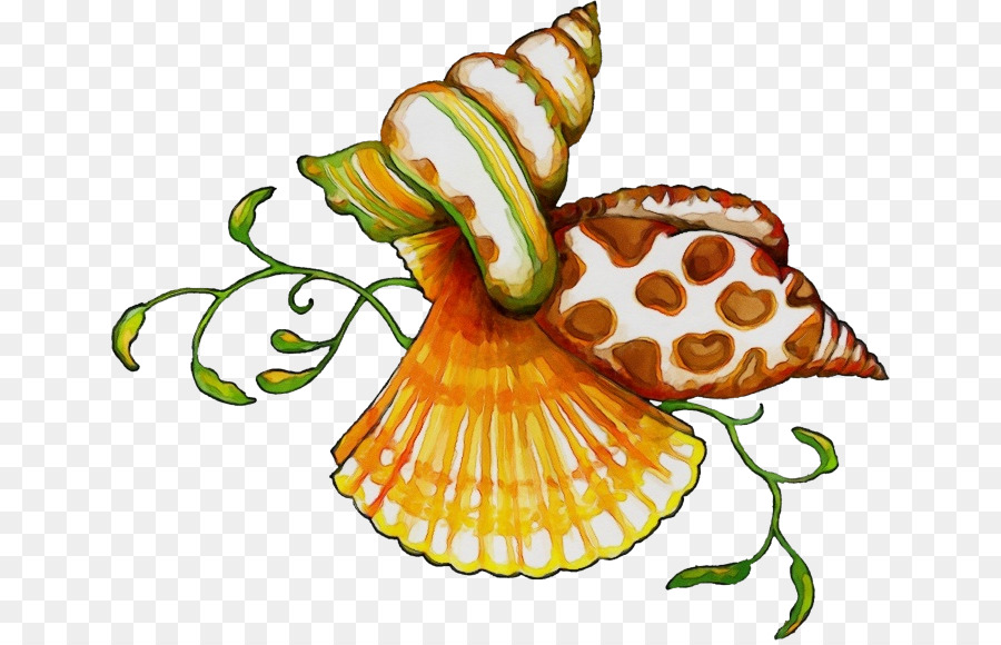 Dessin，Escargot PNG