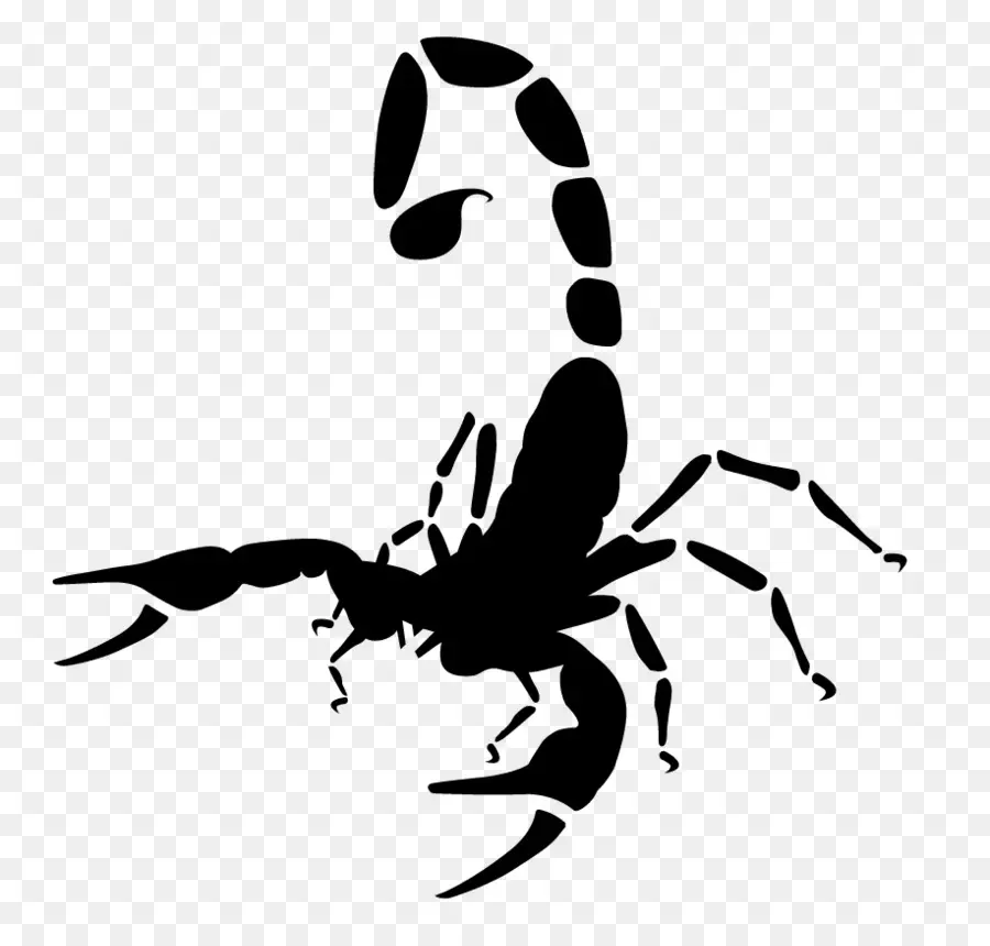 Scorpion，Swoosh PNG