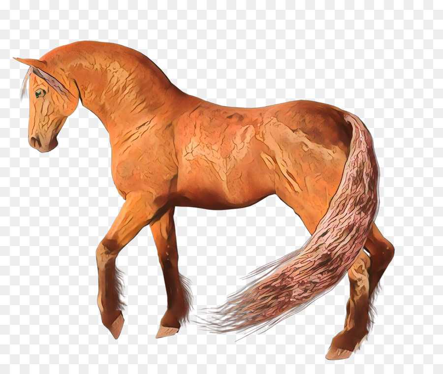 Cheval Qui Court，Animal PNG