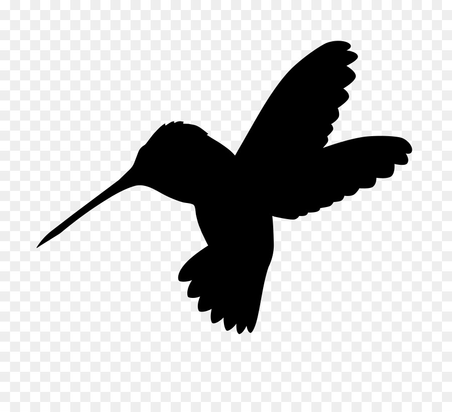 Silhouette De Colibri，Oiseau PNG