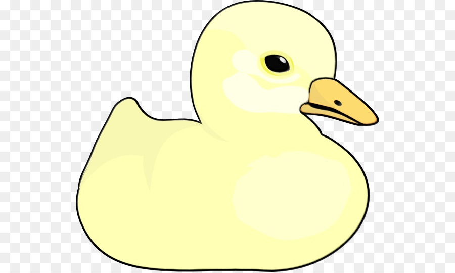 Canard Jaune，Bec PNG