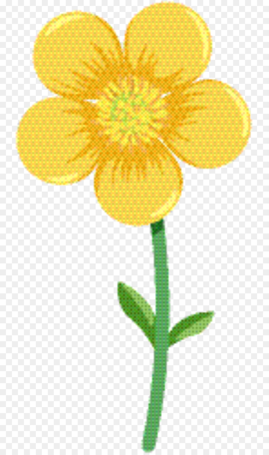 Jaune，Les Fleurs Coupées PNG