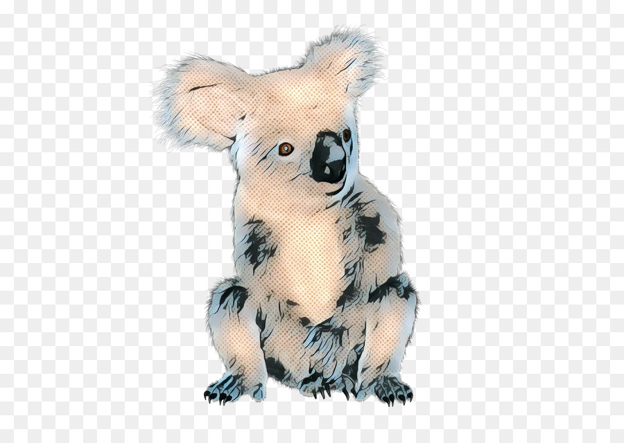 Koala，Marsupial PNG