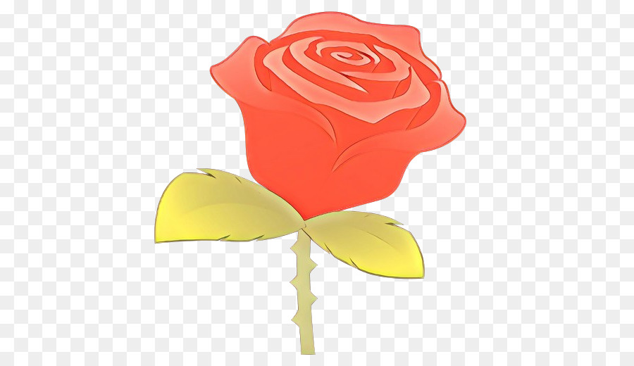 Rose，Rouge PNG