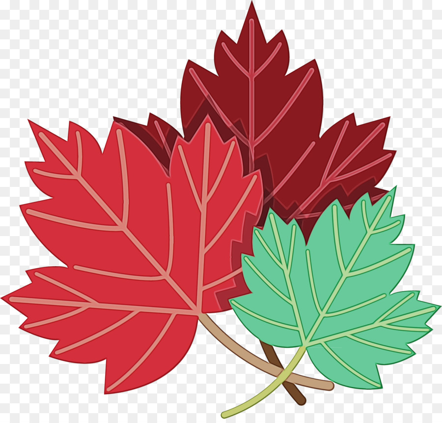 Feuilles D'érable，Automne PNG