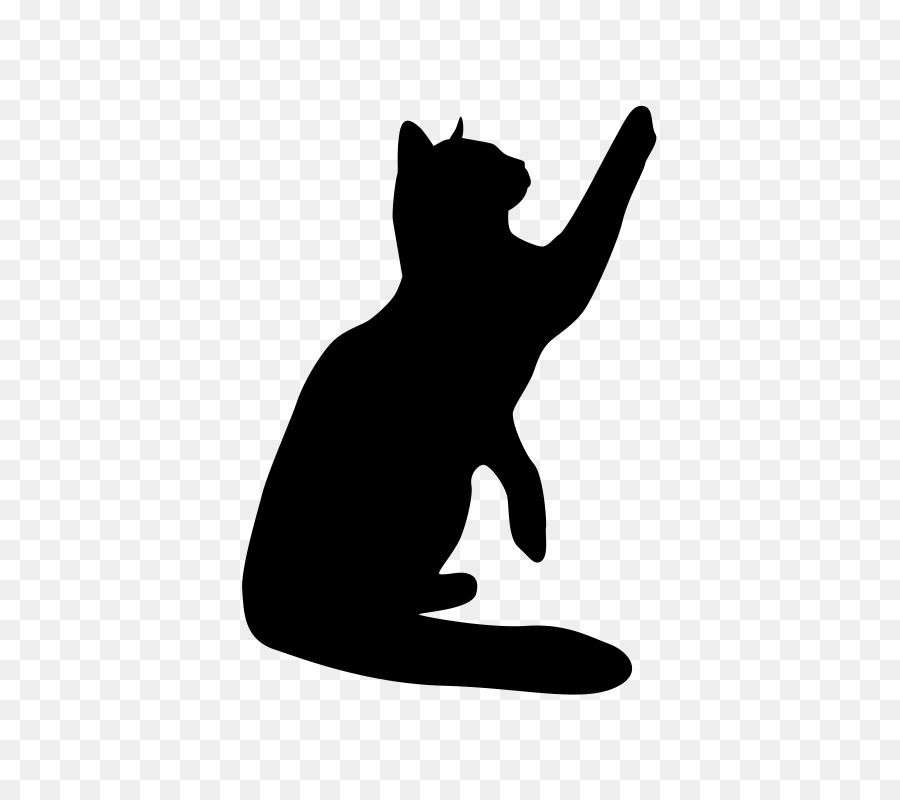 Chat Noir，Silhouette PNG